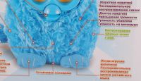 Лот: 4062661. Фото: 16. Ферби аналог Furby. Говорит по-русски...