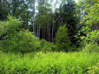 Лот: 7404954. Фото: 2. Продам землю. 20 соток. обмен... Продажа