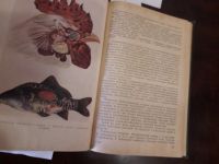 Лот: 16999555. Фото: 8. Эпизоотология с микробиологией...