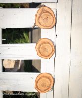 Лот: 11675554. Фото: 3. Спилы для декора. Строительство и ремонт