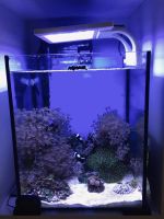 Лот: 12181141. Фото: 2. Морской аквариум aquael. Аквариумистика