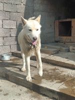 Лот: 25589976. Фото: 3. Животные. Растения и животные