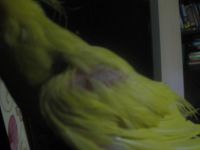 Лот: 4989630. Фото: 4. Корелла с рубля. Красноярск