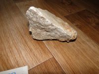 Лот: 6613311. Фото: 3. Камень UDeco Fossilized wood stone... Растения и животные