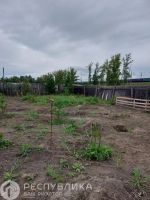 Лот: 22557312. Фото: 8. Продажа Земельный участок Подсинее...