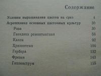 Лот: 4167321. Фото: 2. Цветочные культуры защищенного... Дом, сад, досуг