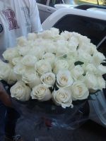 Лот: 3102334. Фото: 6. Букет из 51 розы, доставка в Красноярске...