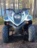 Лот: 25650280. Фото: 5. Квадроцикл BALTMOTORS Jam 100...