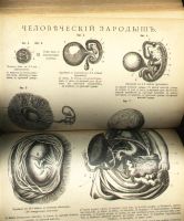 Лот: 6658620. Фото: 4. Настольный энциклопедический словарь... Красноярск