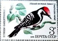 Лот: 12952942. Фото: 2. Марки Фауна. СССР. Птицы - защитники... Коллекционирование, моделизм