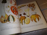 Лот: 16183841. Фото: 9. Мир растений в семи (7-ми) томах...
