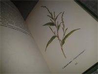 Лот: 6907787. Фото: 3. Атлас лекарственных растений... Литература, книги