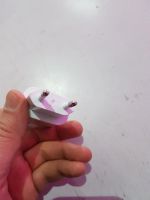 Лот: 11116033. Фото: 4. samsung зарядка быстрая 2А 5V... Красноярск