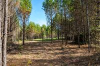 Лот: 4978618. Фото: 14. Участки у леса и реки в поселке...