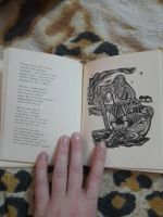 Лот: 25080505. Фото: 5. Книга Хосе Эрнандес