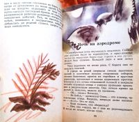 Лот: 25678755. Фото: 9. Шкаликов Владимир - Пегасик...