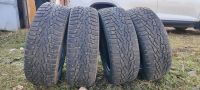 Лот: 25880464. Фото: 2. Nokian Nordman 7 205/60 R16. Шины, Диски