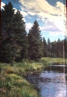 Лот: 25797172. Фото: 2. Голиков Станислав, Орлов В., Рогов... Литература, книги