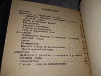 Лот: 19148593. Фото: 3. Плеханова М. Н. Актинидия, лимонник... Литература, книги