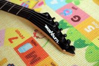 Лот: 13727075. Фото: 2. Washburn X200PROE BK 2008. Музыкальные инструменты