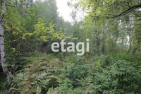 Лот: 25290660. Фото: 12. 2-комн. дом , садоводческое некоммерческое...