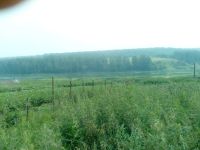 Лот: 14320149. Фото: 5. Дом с участком в д. Погорелка...