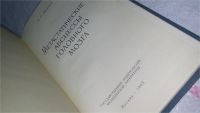 Лот: 10611268. Фото: 2. Метастатические абсцессы головного... Медицина и здоровье