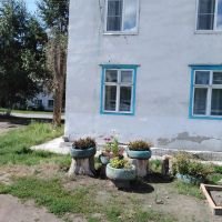 Лот: 14413672. Фото: 12. Продам 1-комн.квартиру Березовке...