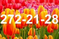 Лот: 9125086. Фото: 16. ТЮЛьПАНЫ. ОПТ, розница 8 Марта...