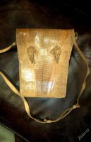 Лот: 3346687. Фото: 2. Эксклюзивкная сумка из кожи варана. Аксессуары