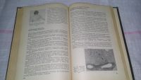 Лот: 8842098. Фото: 3. Нервные болезни, Вадим Михеев... Литература, книги
