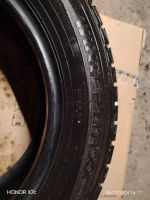 Лот: 24778967. Фото: 4. шины Dunlop Winter Maxx WM01 205... Красноярск