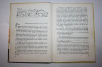 Лот: 23323748. Фото: 3. Окаменевшие волки. Лесная легенда... Литература, книги