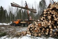 Лот: 2776883. Фото: 2. Лесной бизнес, Лесосибирск, Северный... Готовый бизнес