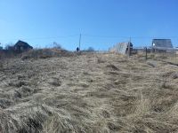 Лот: 4003196. Фото: 2. Участок в СНТ "Палати", Дрокино. Продажа