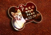 Лот: 3545930. Фото: 2. Адресник. Найти вашего потерявшегося... Животные и уход