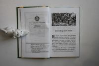 Лот: 23269904. Фото: 2. Том 7. Отголоски старины. Повесть... Детям и родителям