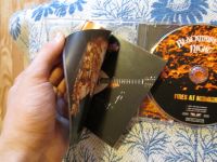 Лот: 3076266. Фото: 4. Blackmore`s Night Fires at Midnight...