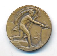 Лот: 21216340. Фото: 2. Швеция Медаль Йонас Венстрем На... Значки, медали, жетоны