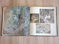 Лот: 22182709. Фото: 3. книга альбом астраханский заповедник... Красноярск
