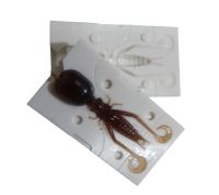 Лот: 19904471. Фото: 4. форма для литья приманок Grasshopper... Красноярск