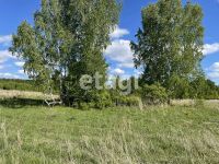 Лот: 25294368. Фото: 5. участок , деревня Верхняя Есауловка...