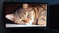 Лот: 18290987. Фото: 2. Монитор Asus LCD 24" VW246H. Мониторы, проекторы