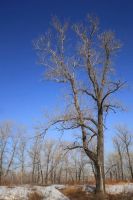 Лот: 6611785. Фото: 4. Продам SIGMA AF 12-24 f/4.5-5...