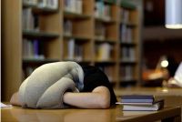 Лот: 3592483. Фото: 5. Подушка страуса