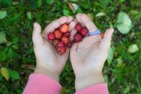 Лот: 7741716. Фото: 6. Nikon d90 + Nikkor 18-105mm f...