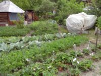 Лот: 10987316. Фото: 2. Дача СТ 15 г. Железногорск. Продажа
