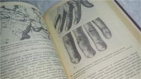 Лот: 10613083. Фото: 4. Профессиональные болезни, В.Артамонова... Красноярск
