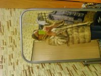 Лот: 4783951. Фото: 3. новая норковая шуба. Одежда, обувь, галантерея