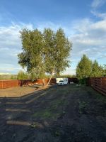 Лот: 25820099. Фото: 2. участок , садоводческое товарищество... Продажа